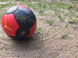 米兰真人-全国老年人健身球操赛展银发激情,老年健身球类