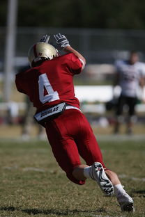 米兰真人-全国老年人健身球操赛展银发激情,老年健身球类