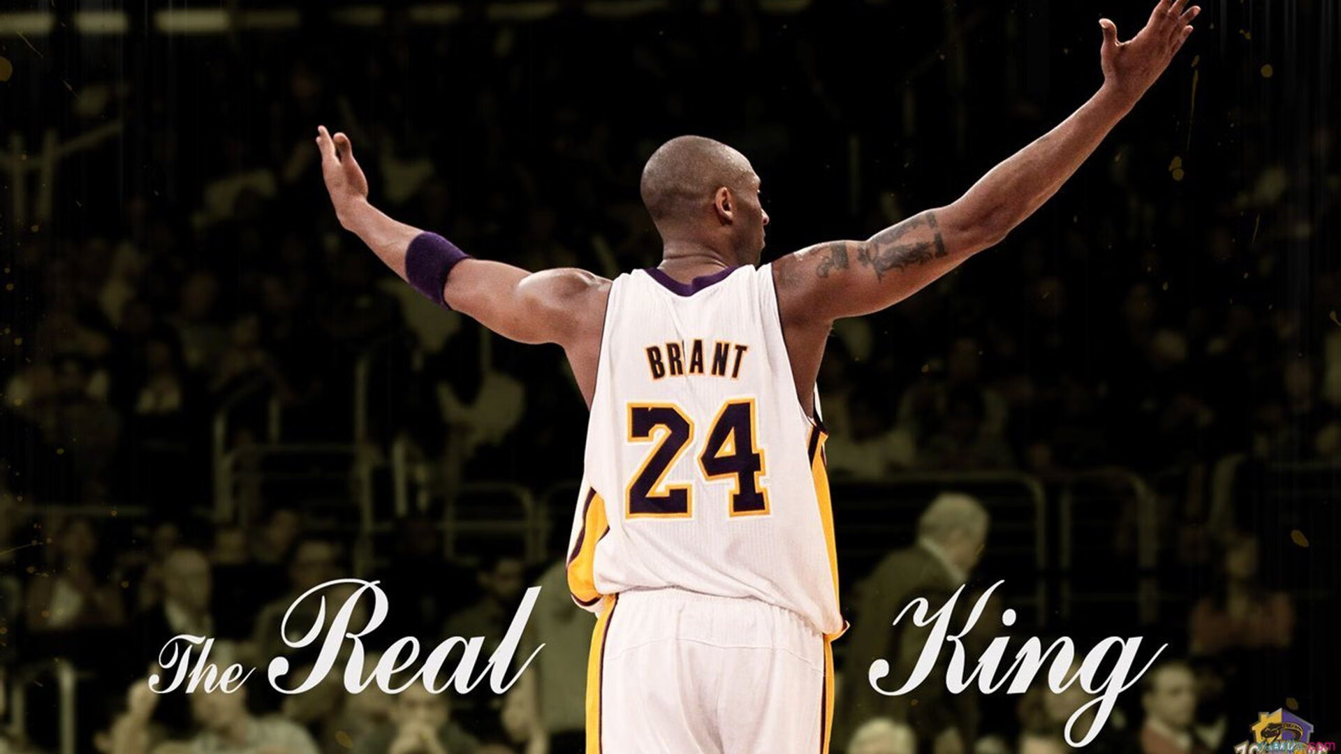 米兰体育官网入口-明星名人支持:世俱杯引发全球关注,世俱杯参加资格