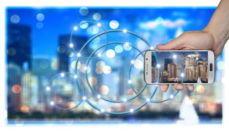 米兰体育app官网-高校运动训练科学化管理策略研究，高校运动训练科学化管理策略研究论文